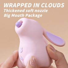 Load image into Gallery viewer, Mimi Rabbit Suction Vibration Clitoral Vibrator