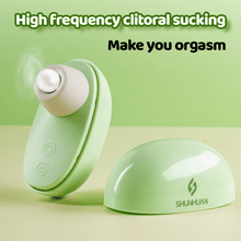Load image into Gallery viewer, Sucking Vibrating Egg Pulse Female Vibrator Flirting Massager