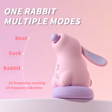 Load image into Gallery viewer, Mimi Rabbit Suction Vibration Clitoral Vibrator