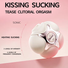 Load image into Gallery viewer, Mesanel PinkPo Slapping Heating Clitoral Suction Vibrator