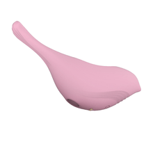 Load image into Gallery viewer, Bubble Bird 10 Frequency Sucking Vibrator for Women