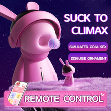 Load image into Gallery viewer, Fashion Ornaments Rabbit Clitoris Sucking Vibrator Set With Dust Cover
