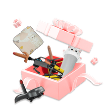 Load image into Gallery viewer, Lady&#39;s Perfect Match – Get One At Random Dildo Machine Mystery Box