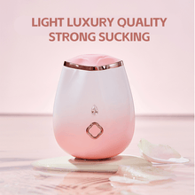 Load image into Gallery viewer, Feminine Delight Suction Toy - Magnetic Charge Soft &amp; Silent