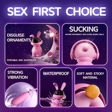Load image into Gallery viewer, Fashion Ornaments Rabbit Clitoris Sucking Vibrator Set With Dust Cover