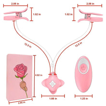 Load image into Gallery viewer, Vibrating Nipple Clamps SM Nipple Stimulation With Remote Control