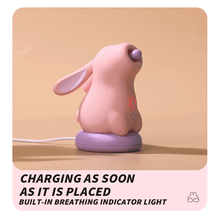 Load image into Gallery viewer, Mimi Rabbit Suction Vibration Clitoral Vibrator
